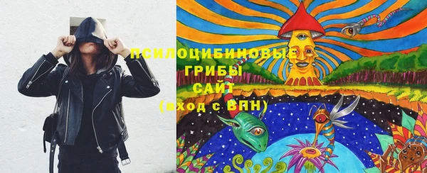 мдпв Горно-Алтайск