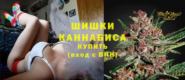 мдпв Горно-Алтайск